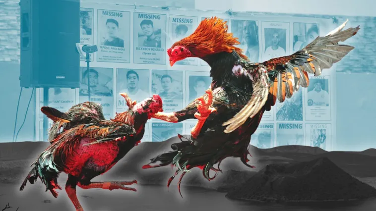Cách Chơi Đá Gà Sabong QH88 Chinh Phục Đấu Trường Thắng Lớn Đầy Kịch Tính 2 Cách Chơi Đá Gà Sabong QH88 Chinh Phục Đấu Trường Thắng Lớn Đầy Kịch Tính