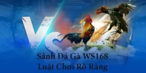 Bí Quyết Thắng Lớn Với Đá Gà WS168 Tại QH88 Đỉnh Cao Giải Trí