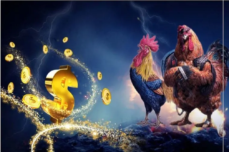 Bí Quyết Thắng Lớn Với Đá Gà WS168 Tại QH88 Đỉnh Cao Giải Trí 2 Bí Quyết Thắng Lớn Với Đá Gà WS168 Tại QH88 Đỉnh Cao Giải Trí
